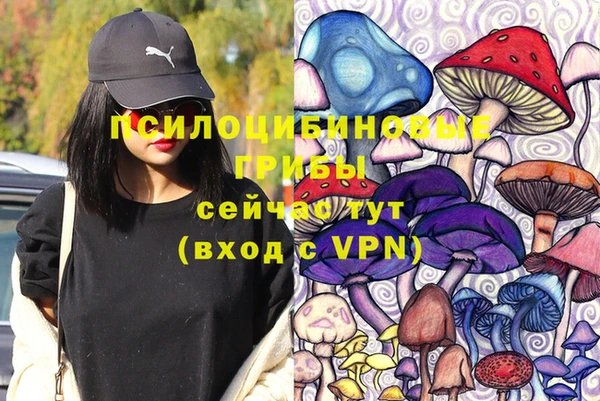 стафф Михайловка
