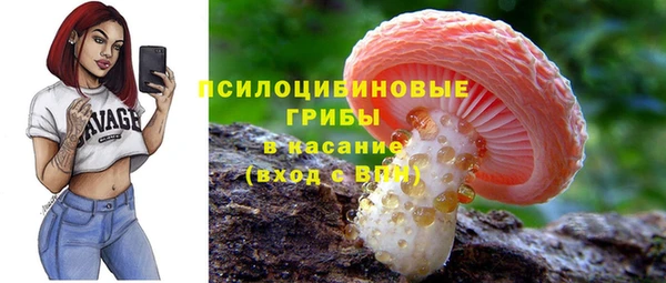 ПСИЛОЦИБИНОВЫЕ ГРИБЫ Михайловск
