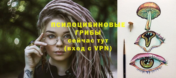 стафф Михайловка