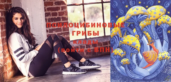 эйфоретик Михайлов